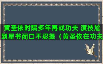 黄圣依时隔多年再战功夫 演技尬到星爷闭口不忍提（黄圣依在功夫里为什么那么惊艳）